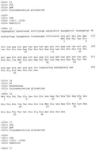 Гены corynebacterium glutamicum, кодирующие белки резистентности и толерантности к стрессам (патент 2303635)