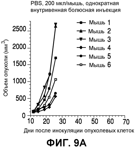 Применения иммуноконъюгатов, мишенью которых является cd138 (патент 2561041)