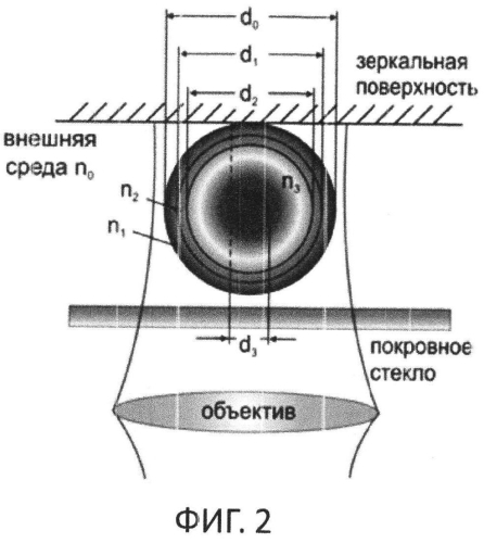 Способ определения степени энергизации т-лимфоцита (патент 2577118)