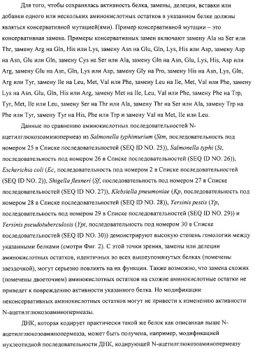 Способ получения l-аминокислот с использованием бактерии, принадлежащей к роду escherichia (патент 2312893)