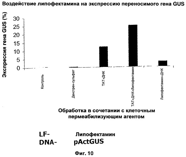 Способ трансфекции и трансдукции растительных клеток (патент 2485180)