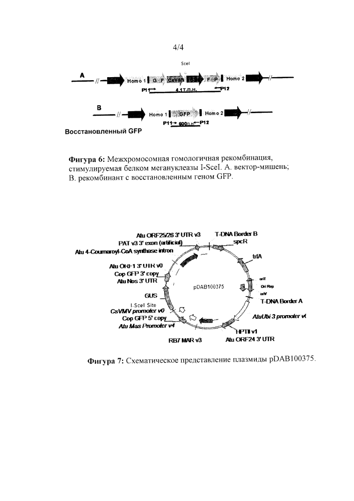 Опосредованная наночастицами доставка сиквенс-специфичных нуклеаз (патент 2612156)