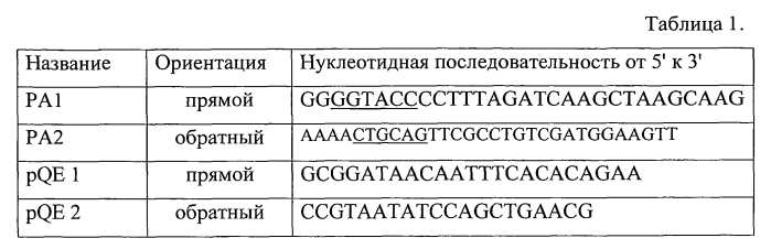 Рекомбинантная днк pa4, рекомбинантная днк pqe 30-pa4, обеспечивающие получение полипептида a4, штамм esherichia coli m 15-a4, трансформированный рекомбинантной плазмидной днк pqe 30-pa4 и экспрессирующий рекомбинантный полипептид a4, рекомбинантный полипептид a4, обладающий способностью селективно связывать чса, аффинные сорбенты (варианты) и способы удаления чса и igg из сыворотки крови (варианты) (патент 2572343)