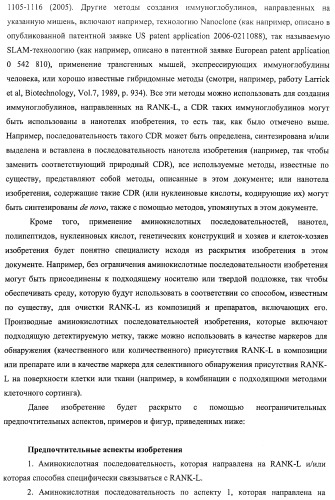 Аминокислотные последовательности, направленные на rank-l, и полипептиды, включающие их, для лечения заболеваний и нарушений костей (патент 2481355)