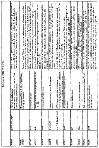 Гены corynebacterium glutamicum, кодирующие белки резистентности и толерантности к стрессам (патент 2303635)