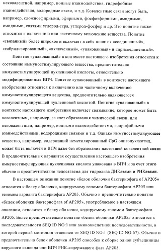 Вирусоподобные частицы, включающие гибридный белок белка оболочки бактериофага ар205 и антигенного полипептида (патент 2409667)