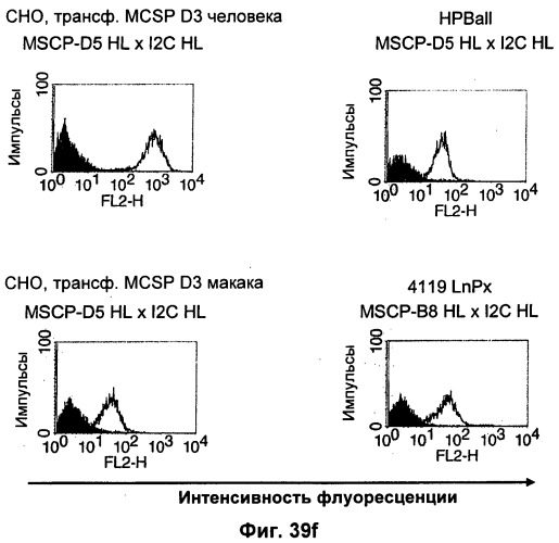 Pscaxcd3, cd19xcd3, c-metxcd3, эндосиалинxcd3, epcamxcd3, igf-1rxcd3 или fap-альфаxcd3 биспецифическое одноцепочечное антитело с межвидовой специфичностью (патент 2547600)