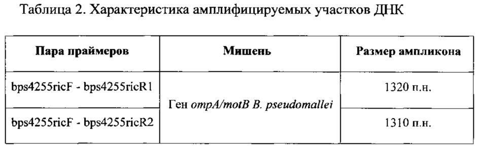 Набор 5'-фосфорилированных олигонуклеотидных праймеров для амплификации методом полимеразной цепной реакции полной кодирующей последовательности гена омра/мотв burkholderia pseudomallei (патент 2608505)