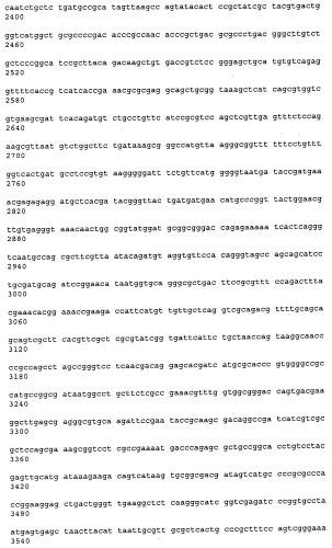 Антитела к рецептору конечных продуктов глубокого гликирования (rage) и их применения (патент 2518351)