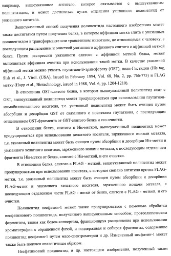 Способ получения фактора, связанного с контролем над потреблением пищи и/или массой тела, полипептид, обладающий активностью подавления потребления пищи и/или прибавления в весе, молекула нуклеиновой кислоты, кодирующая полипептид, способы и применение полипептида (патент 2418002)