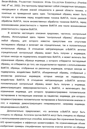 Иммунологические анализы активности ботулинического токсина серотипа а (патент 2491293)