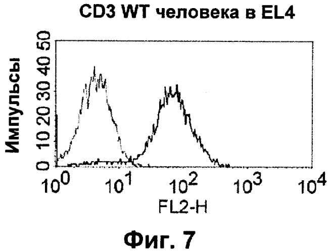 Cd3-эпсилон-связывающий домен с межвидовой специфичностью (патент 2561457)