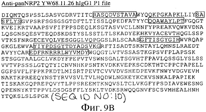 Антитело против pannrpa (варианты) (патент 2454427)