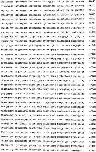 Бактериофаг, обладающий активностью против pseudomonas aeruginosa, белки бактериофага и способы их применения (патент 2580248)
