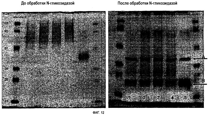 Способ получения производных гидроксиалкилкрахмала (патент 2329274)