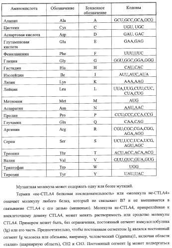 Способ лечения сердечно-сосудистого заболевания с применением растворимого ctla4 (патент 2353384)