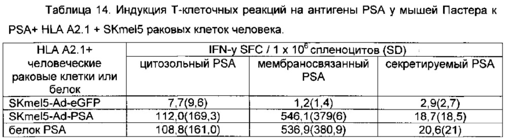 Простатоассоциированные антигены и иммунотерапевтические схемы на основе вакцин (патент 2609651)