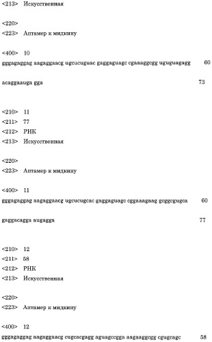 Аптамер против мидкина и его применение (патент 2460794)