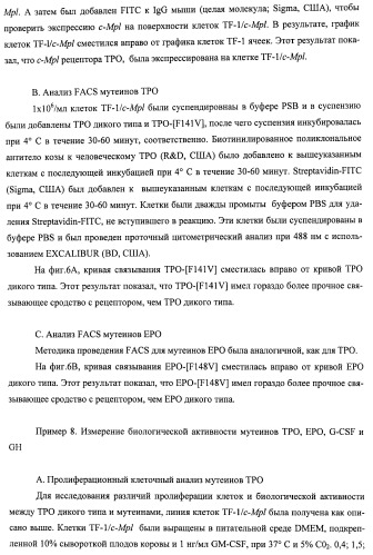 Вариант еро, обладающий повышенным сродством связывания с рецептором и сниженным антигенным потенциалом, днк, кодирующая такой вариант еро, рекомбинантный экспрессионный вектор, содержащий такую днк, клетка-хозяин, трансформированная или трансфектированная таким вектором, способ получения такого варианта еро и фармацевтическая композиция, содержащая такой вариант еро (патент 2432360)