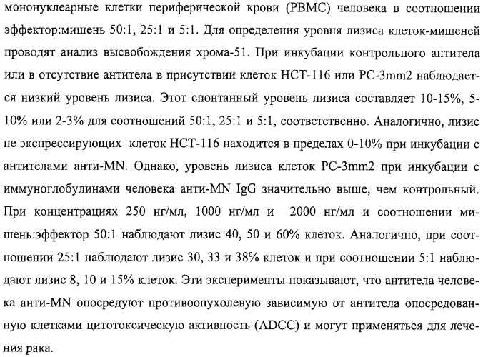 Антитела человека, обладающие активностью связывания c mn и нейтрализации клеточной адгезии (патент 2317998)