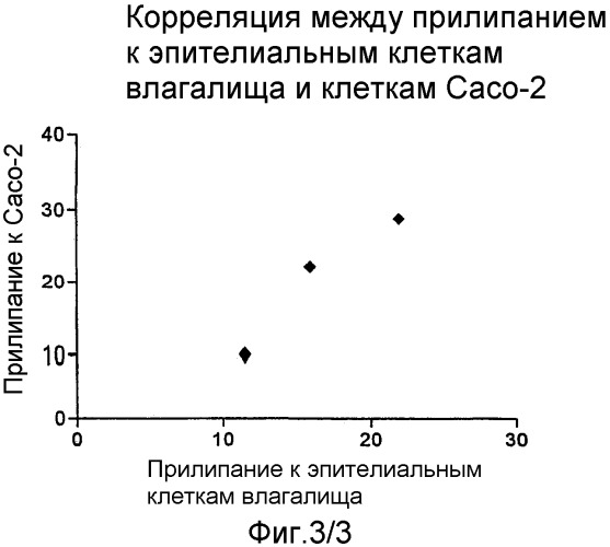 Пробиотические штаммы lactobacillus (варианты) и их применение (патент 2316586)