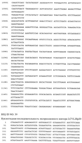 Связывающие молекулы, обладающие терапевтической активностью (патент 2386639)