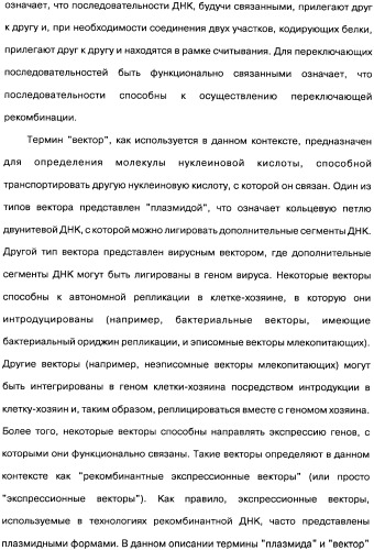 Человеческие моноклональные антитела к рецептору эпидермального фактора роста (egfr), способ их получения и их использование, гибридома, трансфектома, трансгенное животное, экспрессионный вектор (патент 2335507)