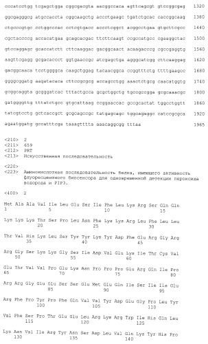 Химерный белок, являющийся флуоресцентным биосенсором для одновременной детекции пероксида водорода и фосфатидилинозитол-3,4,5-трифосфата, нуклеиновая кислота, кодирующая такой белок, кассета экспрессии и эукариотическая клетка-хозяин (патент 2498996)