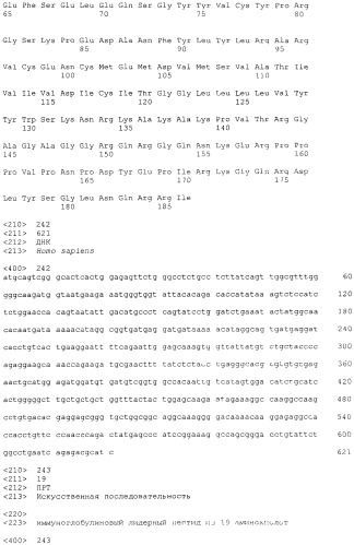 Pscaxcd3, cd19xcd3, c-metxcd3, эндосиалинxcd3, epcamxcd3, igf-1rxcd3 или fap-альфаxcd3 биспецифическое одноцепочечное антитело с межвидовой специфичностью (патент 2547600)