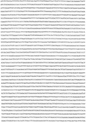 Применение s1p (патент 2362565)