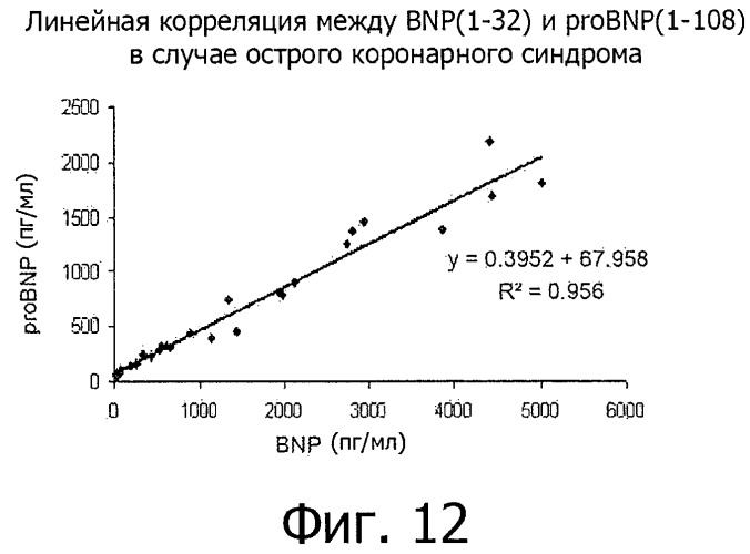 Новый эпитоп bnp (1-32) и антитела, направленные против указанного эпитопа (патент 2511033)