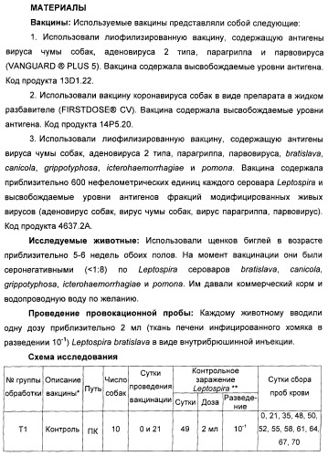 Поливалентные вакцины для собак против leptospira bratislava и других патогенов (патент 2400248)