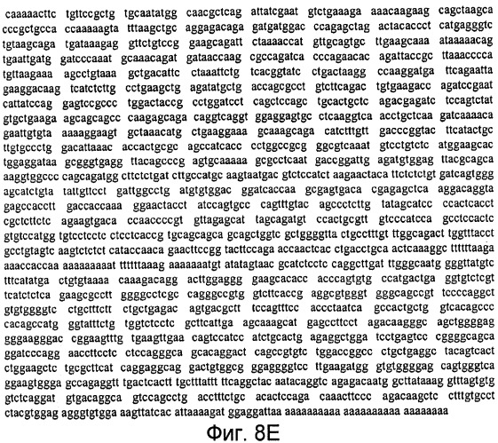 Способы выявления воспалительного заболевания кишечника (патент 2502806)
