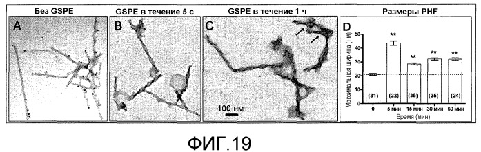 Способы профилактики и лечения нейродегенеративных заболеваний (патент 2496502)