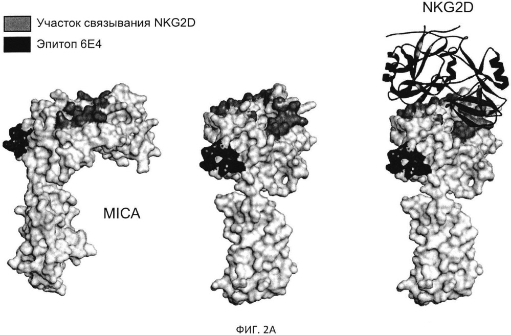 Связывающие mica агенты (патент 2656183)
