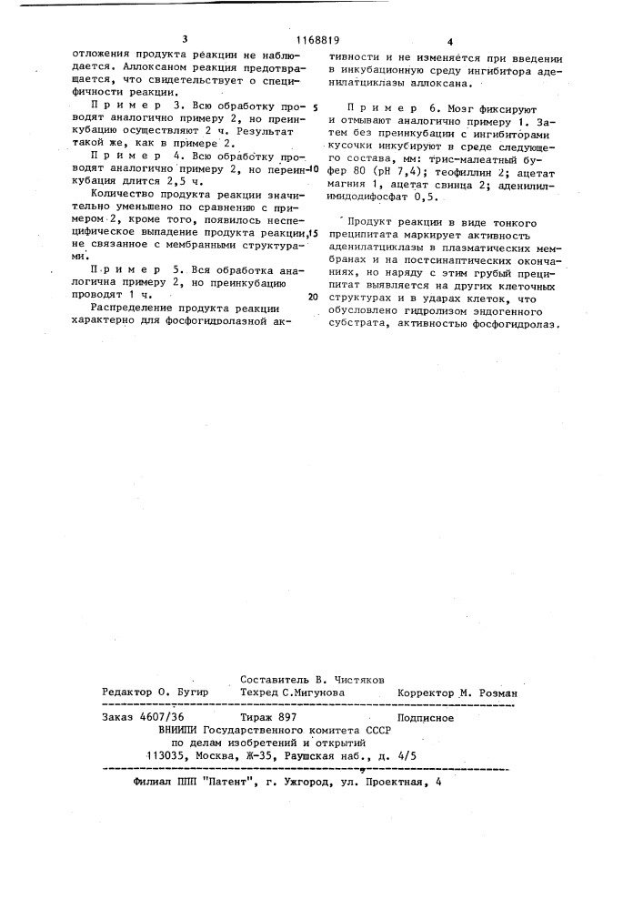 Способ гистохимического выявления аденилатциклазы в нервной ткани (патент 1168819)