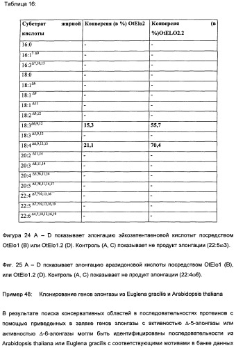 Способ получения полиненасыщенных кислот жирного ряда в трансгенных организмах (патент 2447147)