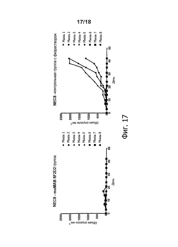 Лечение рака при помощи направленных на мишень антител in vivo (патент 2642305)