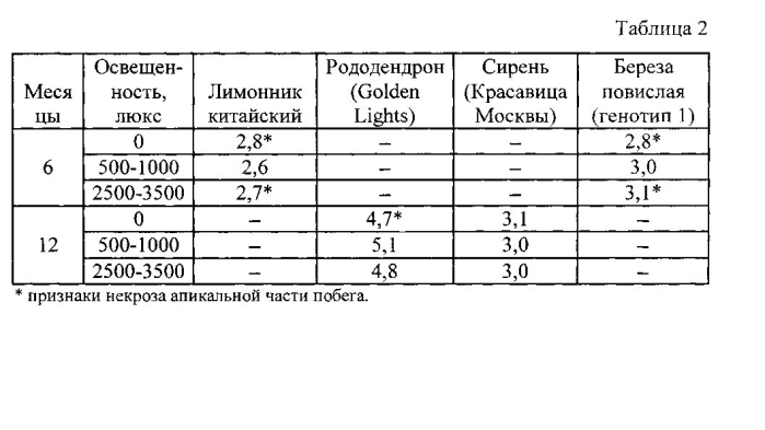 Способ сохранения качественных характеристик культуры in vitro некоторых древесных видов растений (лимонник китайский, рододендрон, сирень, береза повислая) (патент 2590703)