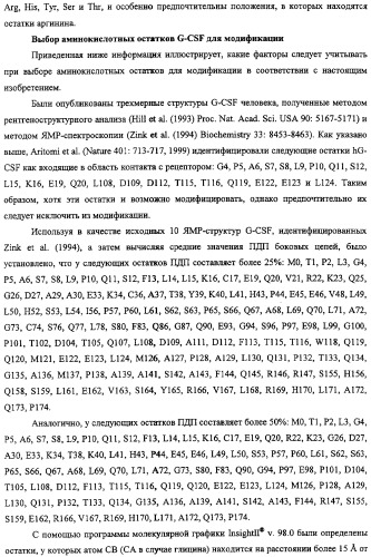 Конъюгаты g-csf (патент 2307126)