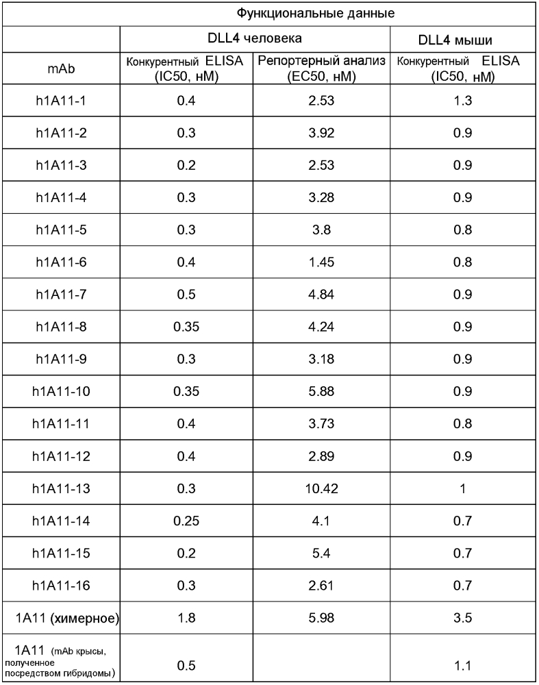 Терапевтические dll4-связывающие белки (патент 2605928)