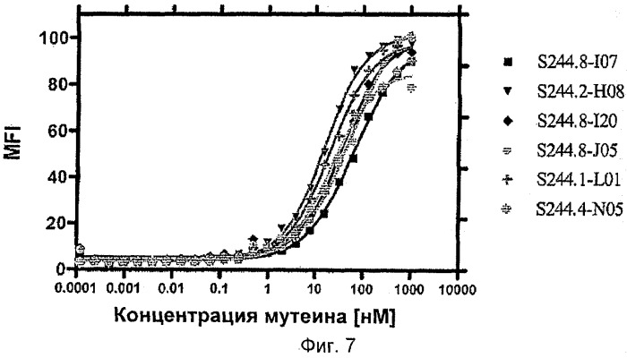 Мутеины липокалина слезной жидкости, обладающие аффинностью к с-мет рецепторной тирозинкиназе человека и способы их получения (патент 2515063)