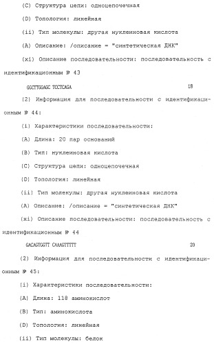 Антитела против белка, родственного паращитовидному гормону человека (патент 2322453)