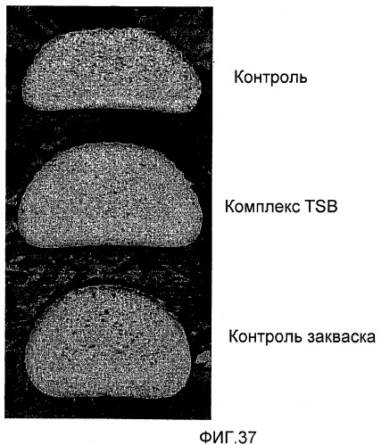 Композиция теста, содержащая ржаную муку, глютен и, возможно, усилитель глютена, инкапсулированный подкислитель или эмульгатор, и выпеченные продукты, полученные из указанной композиции теста (патент 2467572)