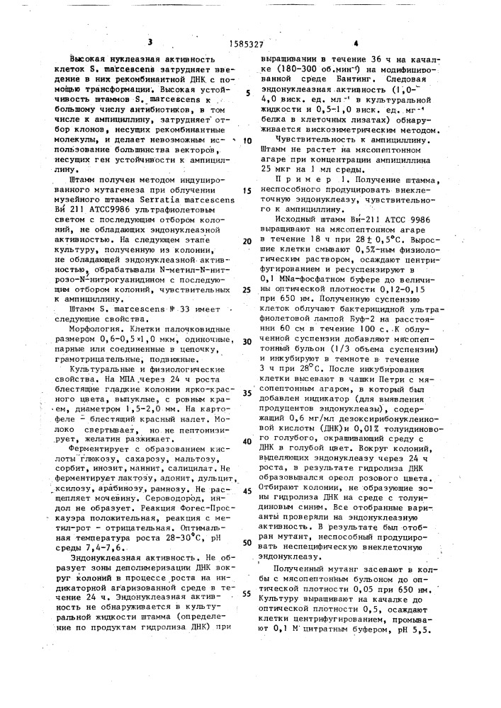 Штамм бактерий sеrrатiа маrсеsсеns, используемый для трансформации днк с геном устойчивости к ампициллину (патент 1585327)