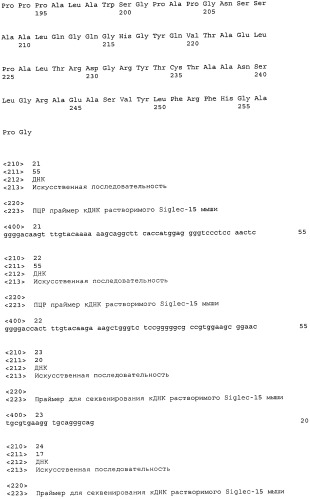 Антитело, направленное на белок siglec-15, связанный с остеокластами (патент 2475499)