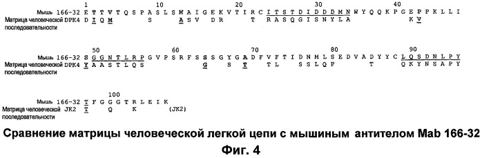 Гуманизированные антитела к фактору d и их применения (патент 2474589)