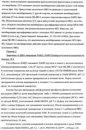 Способ лечения рака у человека (варианты), применяемая в способе форма (варианты) и применение антитела (варианты) (патент 2430739)