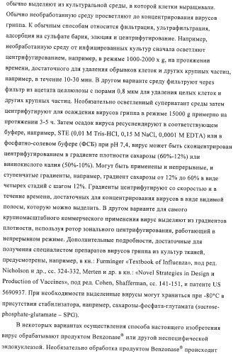 Линии клеток почки собаки майдин-дэрби (mdck), поддерживающие рост вирусов до высоких титров, и способ применения этих клеток в биореакторе (патент 2487935)