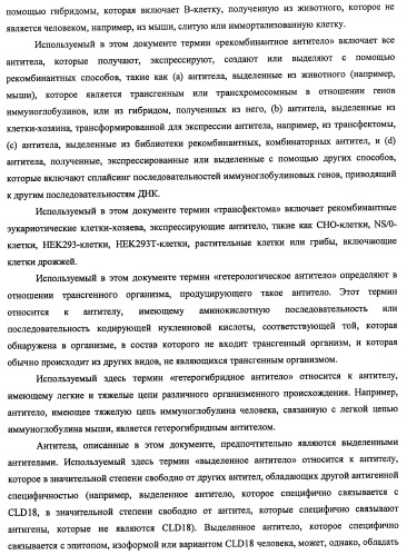 Моноклональные антитела к клаудину-18 для лечения рака (патент 2445319)